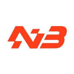 NVP Logo